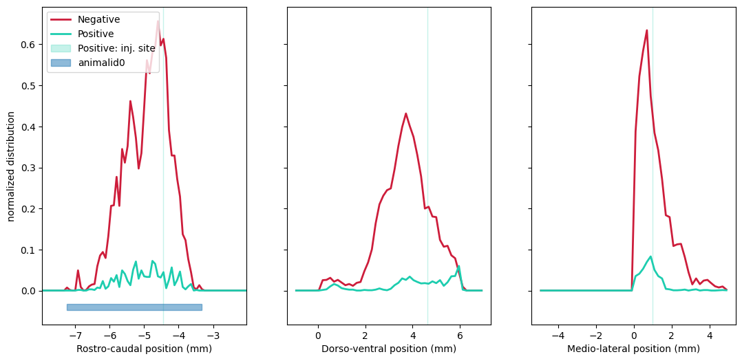 Cell spatial distributions